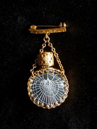 Image 1 of RARE vintage wearable ornate perfume bottle brooch  with preseved web C