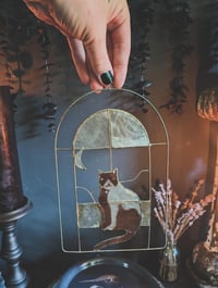 Image 1 of Cat window