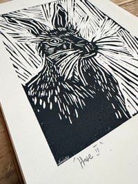 Image 3 of Hare