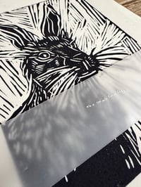 Image 1 of Hare