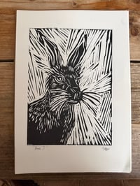 Image 2 of Hare