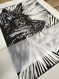 Image 1 of Fox