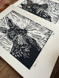 Image 3 of Fox