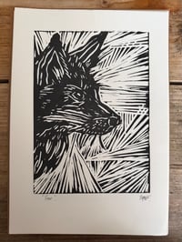 Image 2 of Fox