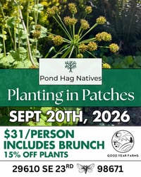 Image 1 of Planting in Patches with the Pond Hags