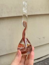 Image 4 of Hatchling Corn Snake