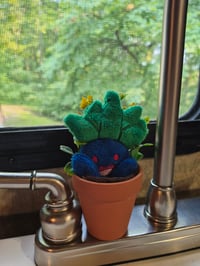 Image 1 of Potted Pokemon Oddish