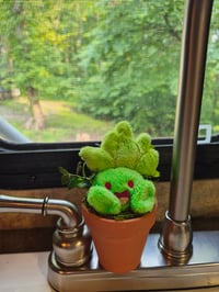 Image 2 of Potted Pokemon Oddish