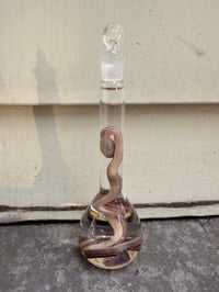 Image 2 of Hatchling  Corn Snake 