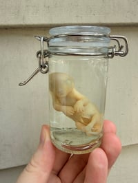 Image 2 of   Baby Opossum