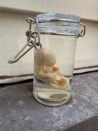 Image 5 of   Baby Opossum