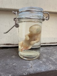 Image 1 of Baby Opossum