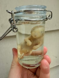 Image 4 of Baby Opossum