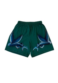 Flying Fish short shorts (XS-small)