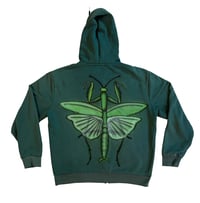 Image 1 of Praying Mantis (medium, back only)