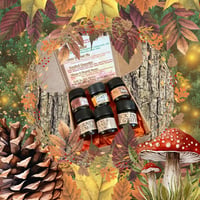 Image 3 of Autumn 2026 Mini Perfume Sampler Box