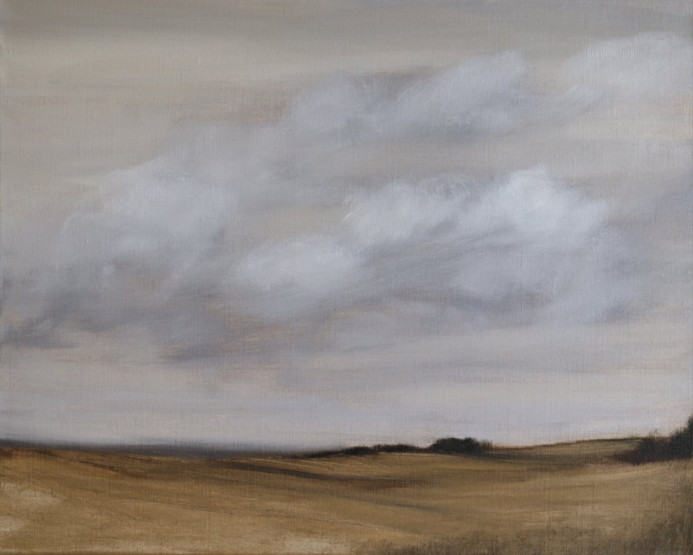 Image of Ciel de fin de journée au-dessus de la campagne
