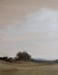 Image of Ciel rose sur la campagne