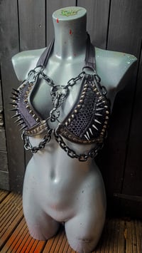 Image 2 of Scorpion Rockstar Bra - Black