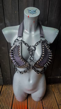 Image 10 of Scorpion Rockstar Bra - Black