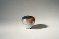 Image 3 of  Cosmos series 