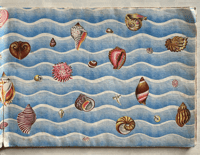 Image 2 of Shells and how they live by Eileen Mayo (A)