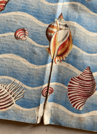 Image 8 of Shells and how they live by Eileen Mayo (A)