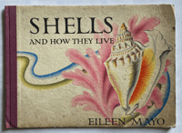 Image 1 of Shells and how they live by Eileen Mayo (A)