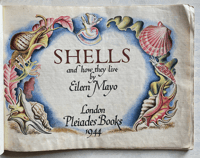 Image 3 of Shells and how they live by Eileen Mayo (A)