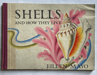 Image 1 of Shells and how they live by Eileen Mayo (B)