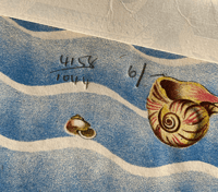 Image 9 of Shells and how they live by Eileen Mayo (B)