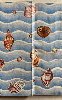 Image 10 of Shells and how they live by Eileen Mayo (B)