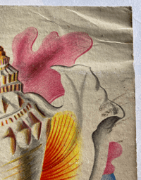 Image 11 of Shells and how they live by Eileen Mayo (B)