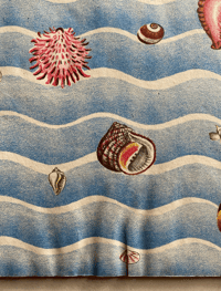 Image 12 of Shells and how they live by Eileen Mayo (B)