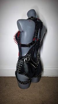Image 4 of Cherry Riot Set
