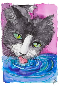 2025 Drinking Cat