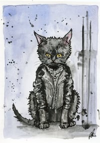 2025 Rebel Cat