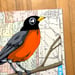 Image of Robin / unframed original painting