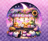 Image 1 of Purple Pumpkins