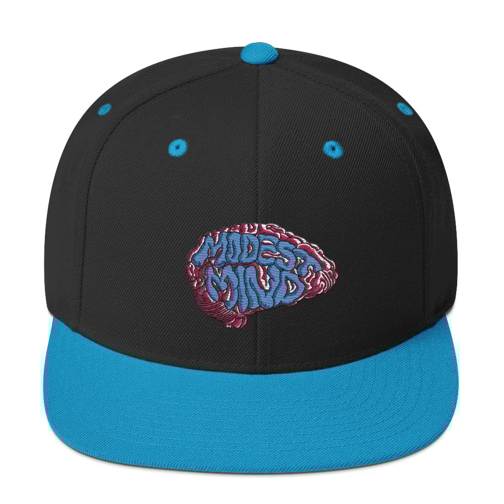 Image of  Brain Snapback