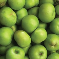 British Bramley Apples