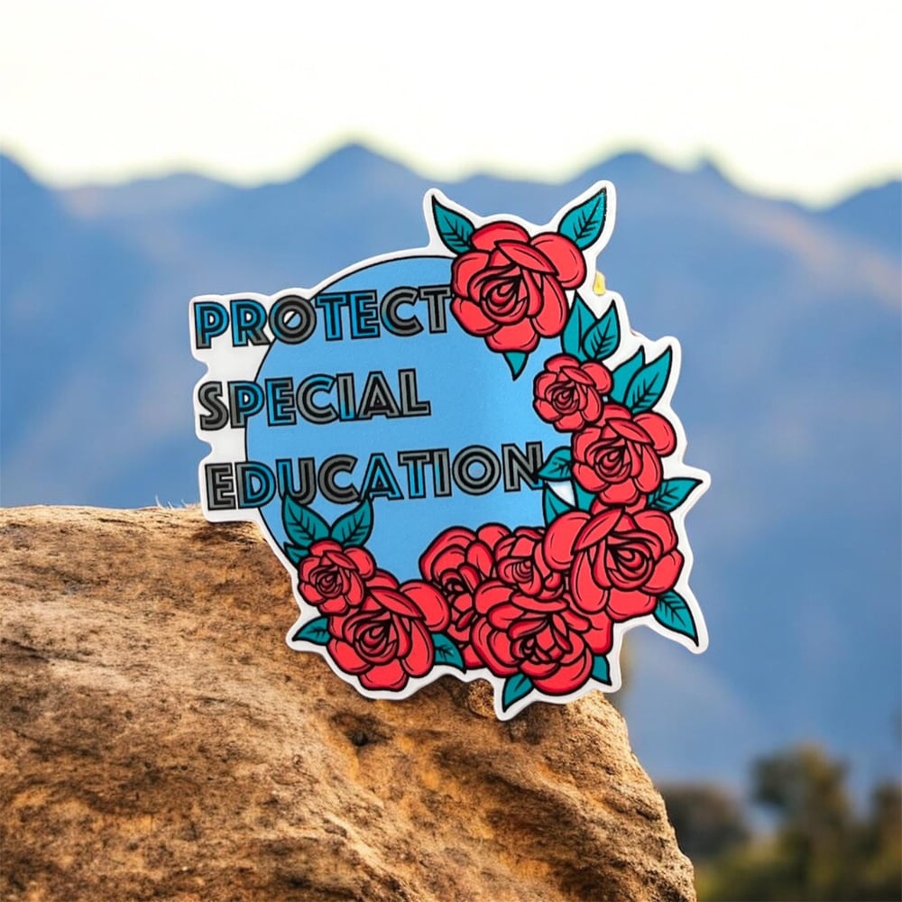 Image of 'Protect Special Education' Disability Advocacy Vinyl Sticker