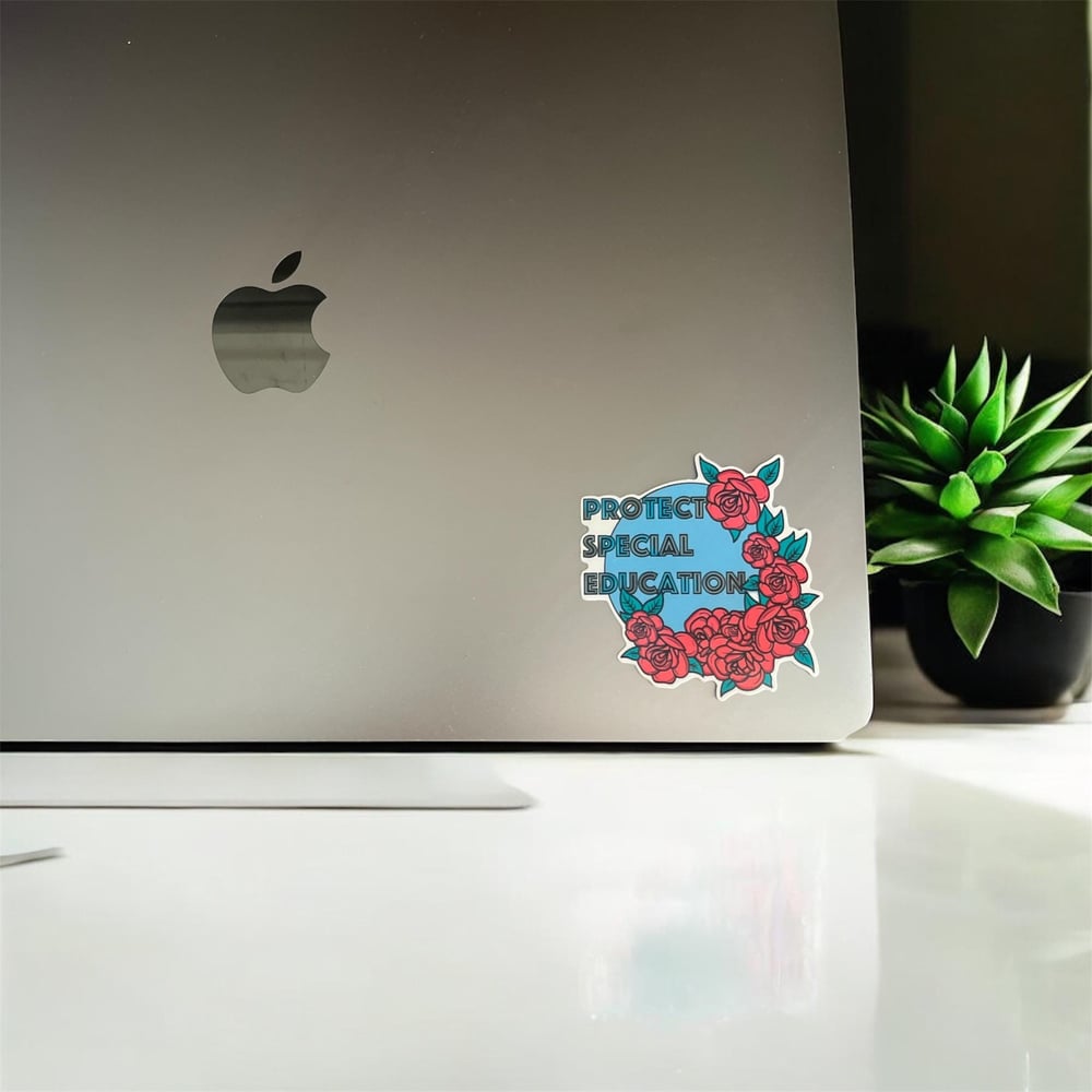 Image of 'Protect Special Education' Disability Advocacy Vinyl Sticker