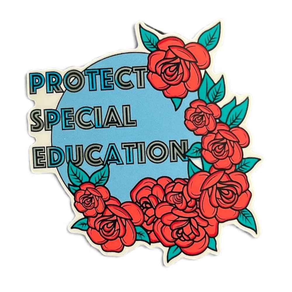 Image of 'Protect Special Education' Disability Advocacy Vinyl Sticker