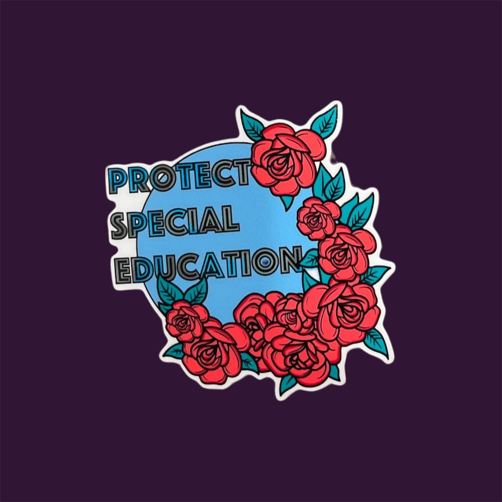 Image of 'Protect Special Education' Disability Advocacy Vinyl Sticker