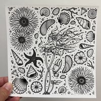 Sea LIfe Print - by Derek DiOrio