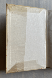 Image 3 of Seashore Life and Pattern T. A. Stephenson (A)