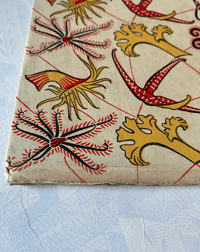 Image 4 of Seashore Life and Pattern T. A. Stephenson (B)