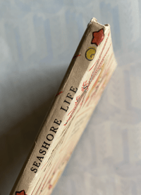 Image 5 of Seashore Life and Pattern T. A. Stephenson (B)