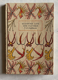 Image 1 of Seashore Life and Pattern T. A. Stephenson (B)